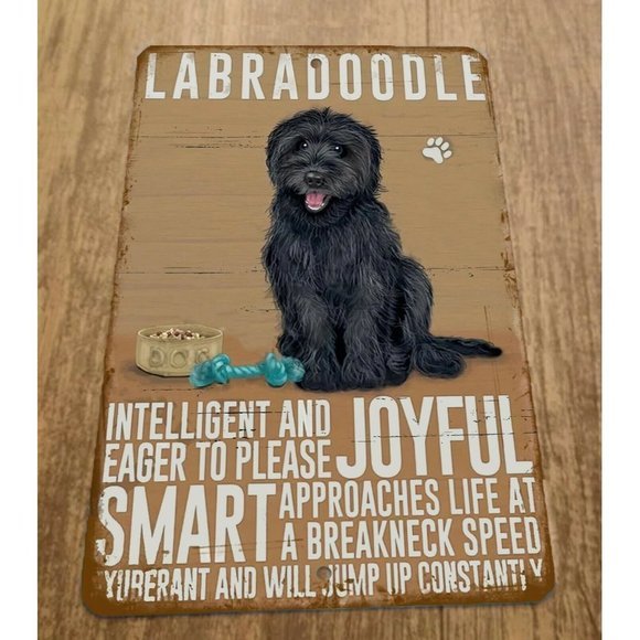 Labradoodle Intelligent Eagar to Please Loyal‎ Smart Dog 8x12 Metal Wall Sign - Picture 1 of 1